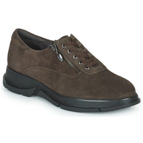 Xαμηλά Sneakers Scholl BRISTOL ZIP Δέρμα