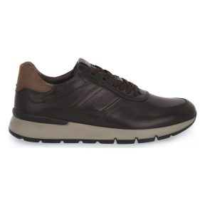 Sneakers NeroGiardini NERO GIARDINI 322 SAVANA BROWN